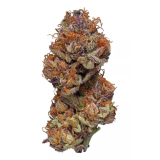 AAA – Purple Urkle – SALE